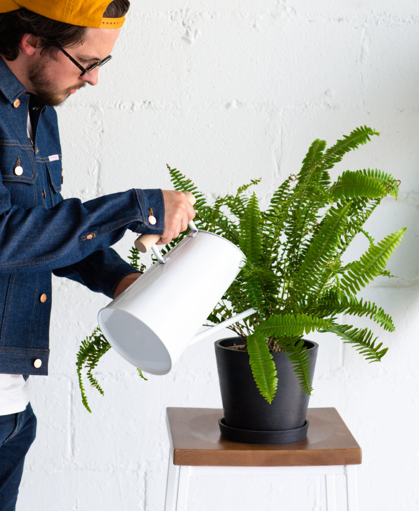 Buy Bloomscape Large Watering Can