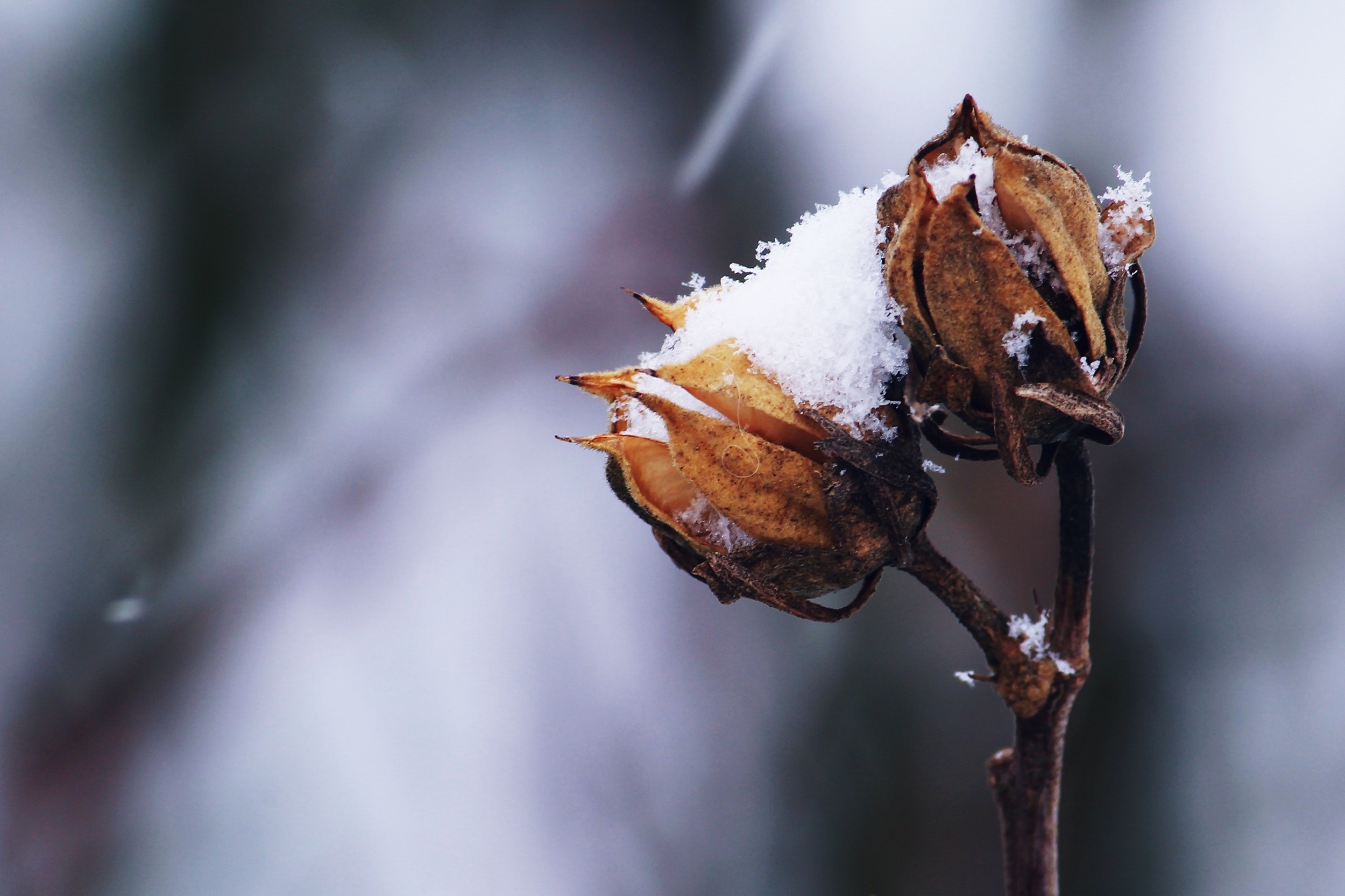 5 Methods to Get Your Backyard “Repair” Within the Winter