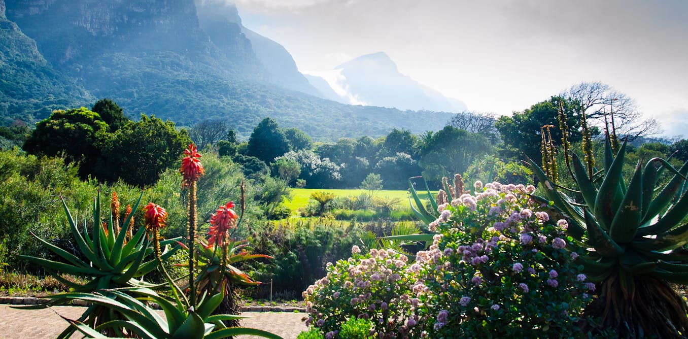 How the colonial previous of botanical gardens will be put to good use