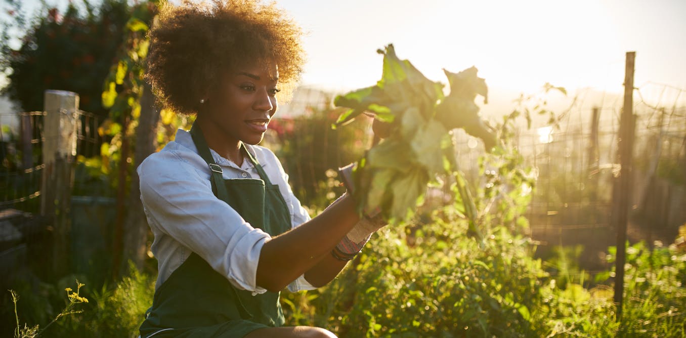 why medical doctors are prescribing gardening relatively than medicine