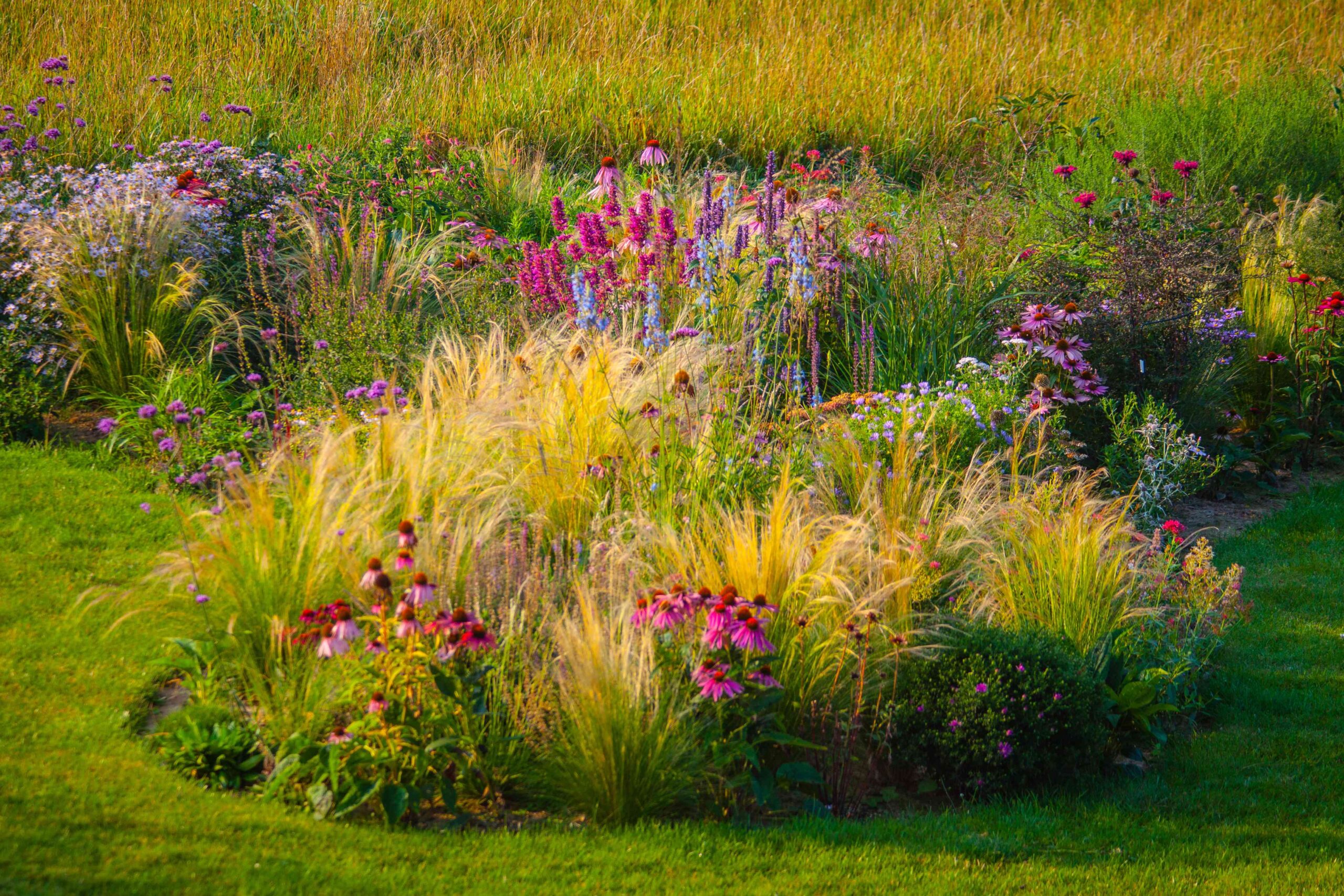 26 Late Summer season season Flowers You Can Nonetheless Plant for a Pop of Coloration